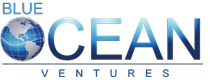 Blue Ocean Ventures is a premier executive search firm for the IT Industry
